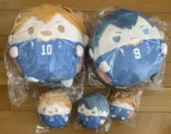 ハイキュー　ぬいくじ　ふわコロ　日向、影山