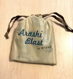 ARASHI BLAST in Miyagi レインポンチョ　嵐