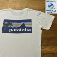 Beneficial T's Patagonia パタゴニア Tシャツ USA製