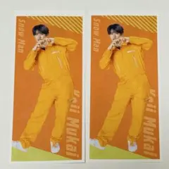 月刊ザテレビジョン 推しおり 2枚 SnowMan 向井康二