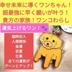 2025年最新】座敷わらしちゃんの人気アイテム - メルカリ