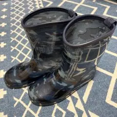 Item thumbnail for item 2ecaeed3-1559-49ba-85e8-fba5841e7889