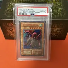 2025年最新】ハーピィズペット psaの人気アイテム - メルカリ