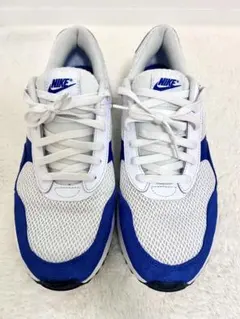 NIKE Air Max DM9537-400 29.5cmホワイトブルー