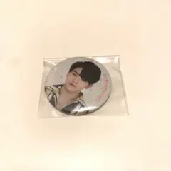 SEVENTEEN セブチ　ウジ