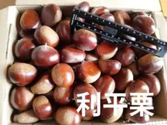 埼玉県産生栗　利平栗　中〜大粒　1.4kg〜