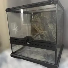 爬虫類ケージ GEX エキゾテラ スクリーンテラリウム 4560