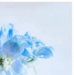 りんご坊や様専用 4点おまとめ