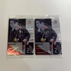 男子バレーボール日本代表ツインウエハース2026 永露元稀 ノーマル