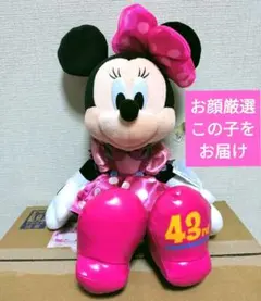 2026年最新】ミニー ぬいぐるみ ディズニーランドの人気アイテム