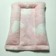 Item thumbnail for item 879fcf87-ffa8-4b9d-b955-3b24cc59f783