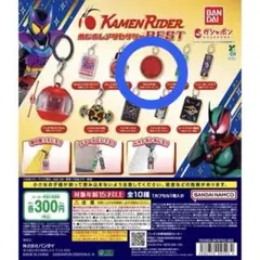 仮面ライダー めじるしアクセサリー BEST 【タカメダル】