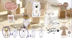 わんこのタイムカプセル まめ モコ 犬の毛入れキーホルダー