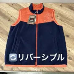 Item thumbnail for item c8ed2f02-686d-4a4f-b201-8cf775160ca1