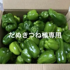 たぬきつね様専用