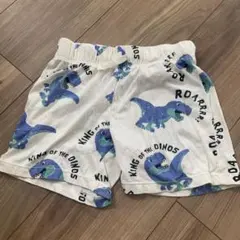 H&M 恐竜プリント ハーフパンツ