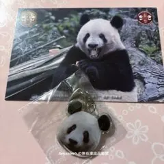 2025年最新】シャンシャンキーホルダーの人気アイテム - メルカリ