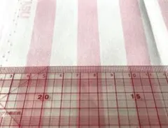 H■□カラーオックス　ピンク系　ストライプ