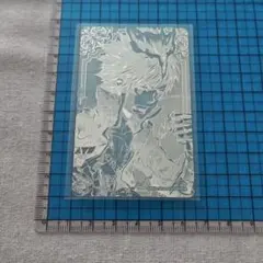 家庭教師ヒットマンREBORN！ 箔カード