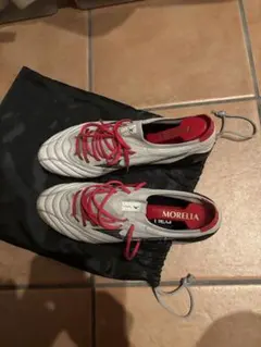 モレリア ネオ4 β