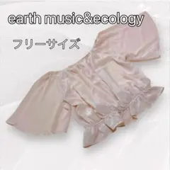 earth music&ecologyフリーサイズ シフォンブラウス ショート丈