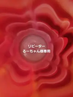 るーちゃん様専用