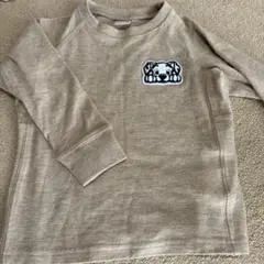 プティマイン　101匹わんちゃん