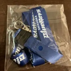 静岡ブルーレヴズ