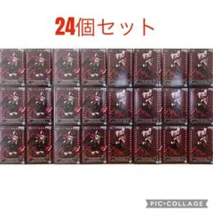 ハズビンホテルへようこそ モニタートップ フィギュア ２種24個