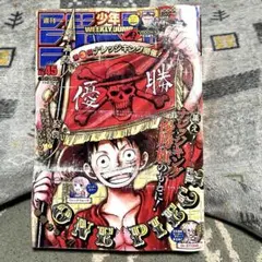 ルフィ ニカ プラカード 手配書 キーホルダー ワンピース ONE PIECE 