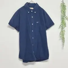 8120 ホリスター 半袖シャツ トップス シンプル ベーシック カジュアル 青