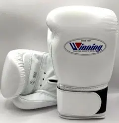 Item thumbnail for item b4da36f7-a668-4642-8ace-78d46676cbf2