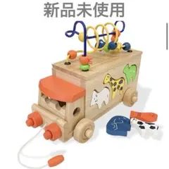 エドインター (GENI) アニマルビーズバス 型はめ 木のおもちゃ