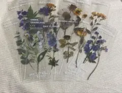 花　しおり　15枚セット