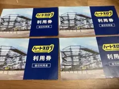 都市型アスレチック　ハートスロブ　利用券4枚　りんくう　期限なし　万博ロスのサムネイル