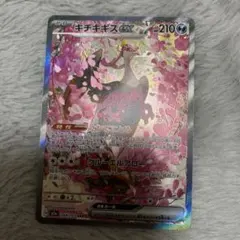 ポケモンカード　メガドリームex キチキギスSAR