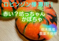ロビンソン様専用・赤い？斑な坊っちゃんかぼちゃ！