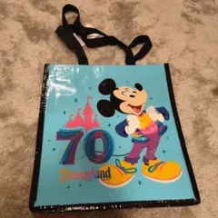 新品未使用　ディズニーランド70周年　エコバッグ