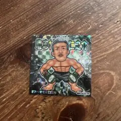 Item thumbnail for item c221c63a-886c-43cb-9087-5bd3d5b3386d