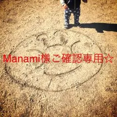 Manami様ご確認専用ページ☆筆文字デザインオーダー
