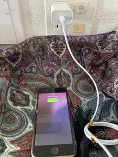 お買得　iPhone SE（第2世代）ホワイト急速充電器付き 美品完動