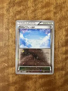 スカイフィールド