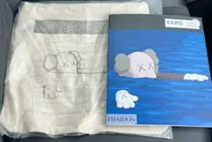 Item thumbnail for item 12c4bc8c-d648-40f3-b245-e673a99d2a25