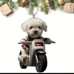 Item thumbnail for item 8b213e11-89ec-4ac6-bf78-168eace57078