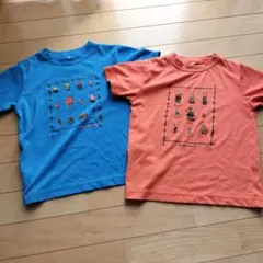 mont-bell 昆虫　どんぐり　ウィックロン　 Tシャツ 2枚セット