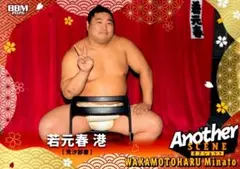 ぷにこ様 リクエスト 2点 まとめ商品