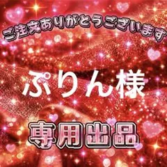 ぷりん様　専用出品ページ