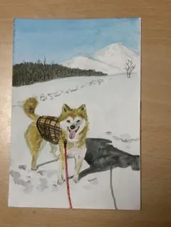 手描き水彩画「柴犬の雪景色 」ハガキサイズ