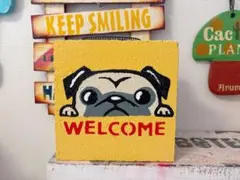 ひろ様専用ページです。ありがとうございます