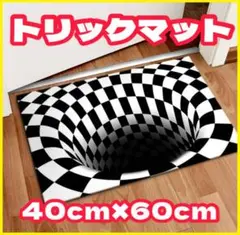 【穴】おもしろマット 玄関マット ラグマット サプライズ プレゼント